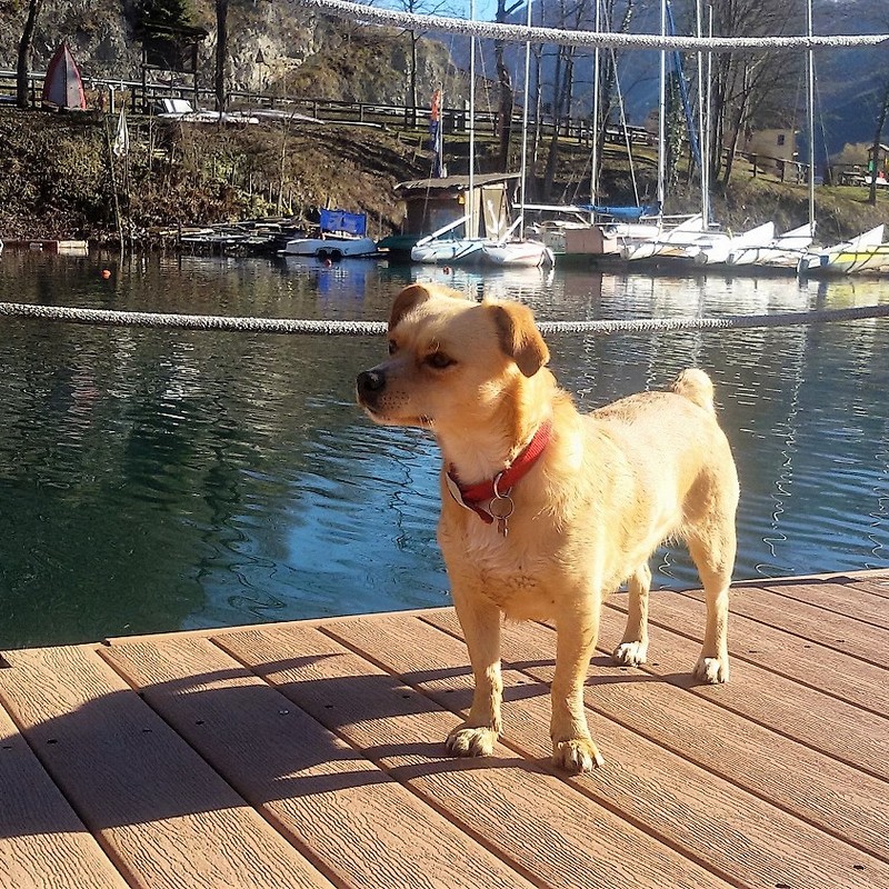 Garni My Ledro | I servizi
